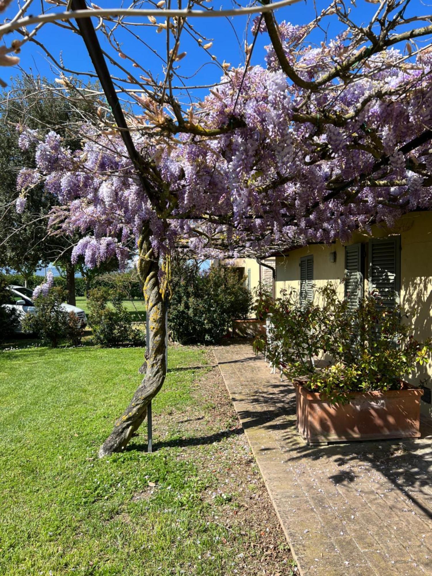 Residenza Isabella Guest House Spello Eksteriør bilde